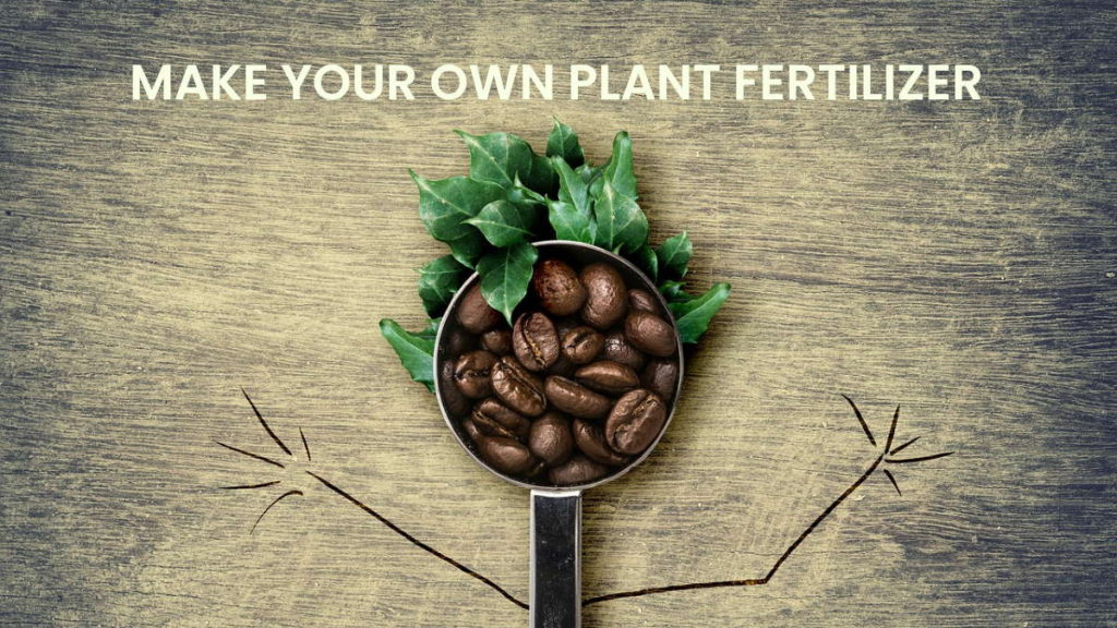 Make Your Own Home Based Plant Fertilizer