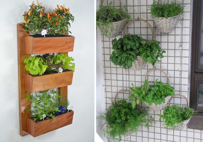 Vertical Garden Stands for your Balcony